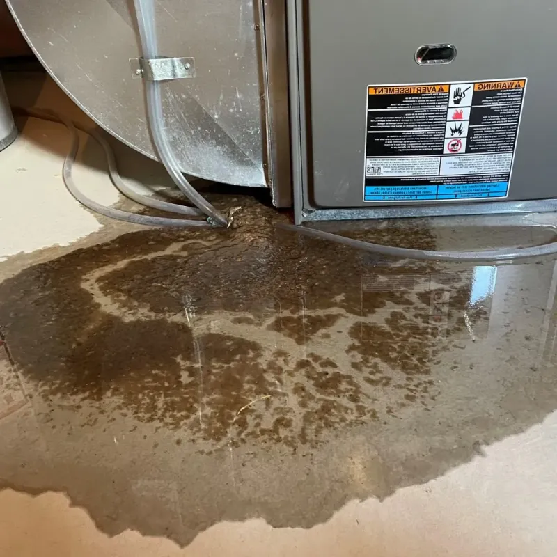 Pipe Burst and Leak Restoration in Pepperell, MA