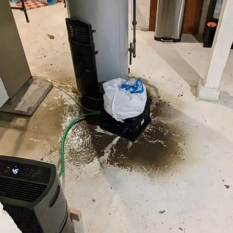 Sewage Backup Cleanup Service in Pepperell, MA
